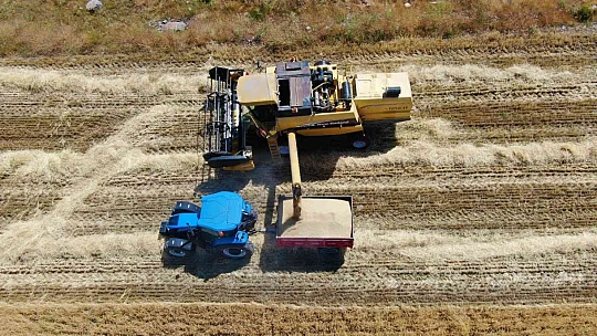 Elazığ'da yılın ilk arpa hasadı gerçekleştirildi