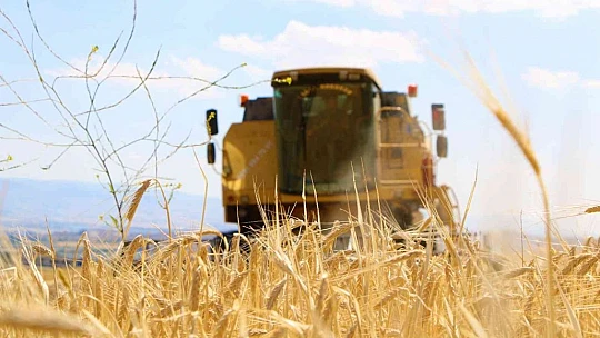 Elazığ'da yılın ilk arpa hasadı gerçekleştirildi
