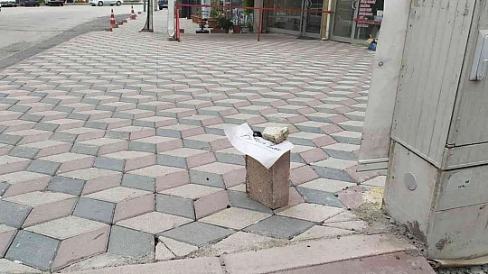 Elazığ'da yürekleri ısıtan görüntü: Karıncalar ezilmesin diye kaldırıma not bıraktı