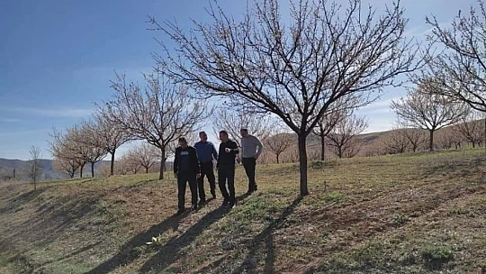 Elazığ'da zirai don nedeniyle hasar tespit çalışmaları başladı