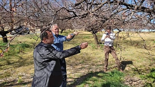 Elazığ'da zirai don nedeniyle hasar tespit çalışmaları başladı