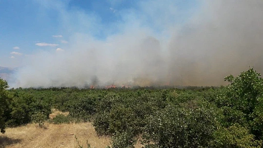 Elazığ'daki orman yangını kontrol altına alınmaya çalışılıyor