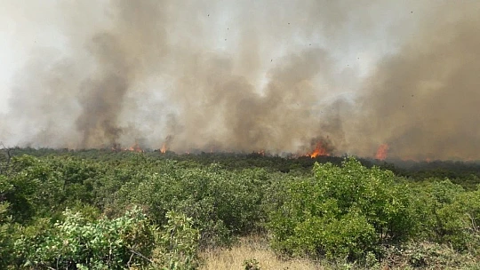 Elazığ'daki orman yangını kontrol altına alınmaya çalışılıyor