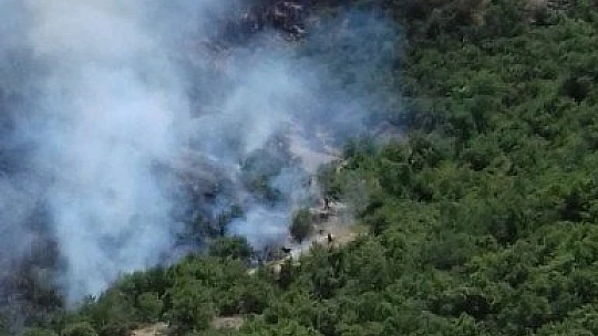 Elazığ'daki orman yangını kontrol altına alınmaya çalışılıyor