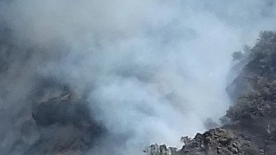 Elazığ'daki orman yangını kontrol altına alınmaya çalışılıyor