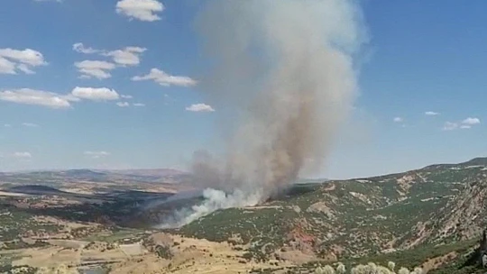 Elazığ'daki orman yangını kontrol altına alındı
