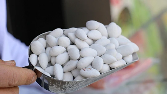Elazığ'ın beyaz altını, Ramazan geldi üretimi de tüketimi de 10 kat arttı