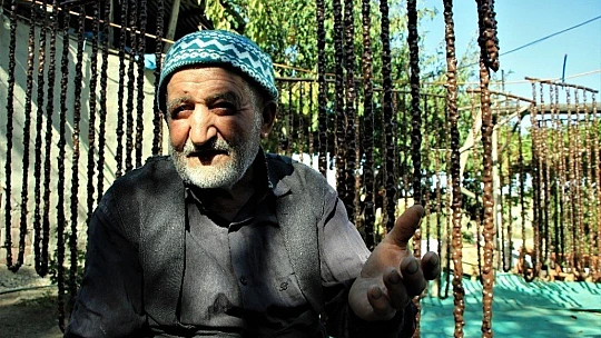 Elazığ'da Orcik Mesaisi Başladı