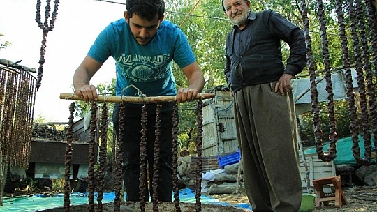 Elazığ'da Orcik Mesaisi Başladı