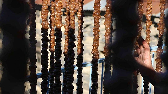 Elazığ'ın vazgeçilmez tescilli lezzeti 'Orcik' için mesai başladı