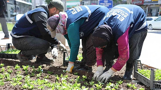 Elazığ, kadın eliyle güzelleşiyor