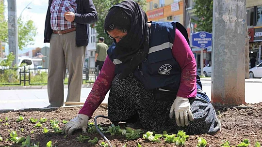 Elazığ, kadın eliyle güzelleşiyor