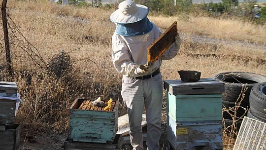 Elazığlı arıcı geliştirdi, KOAH ve astım hastalarına umut olacak