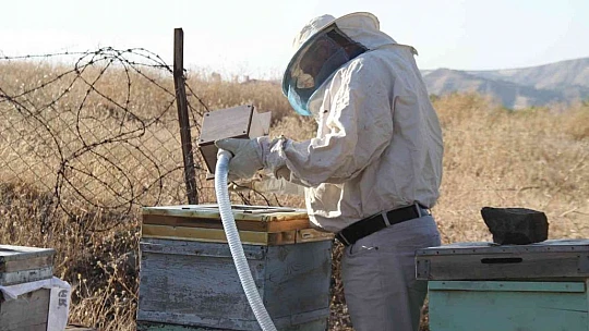 Elazığlı arıcı geliştirdi, KOAH ve astım hastalarına umut olacak