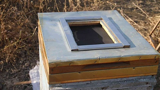 Elazığlı arıcı geliştirdi, KOAH ve astım hastalarına umut olacak