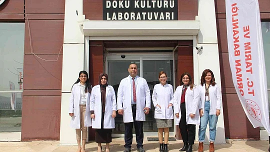 Endemik bitkiler laboratuvar ortamında çoğaltılıp doğaya kazandırıldı