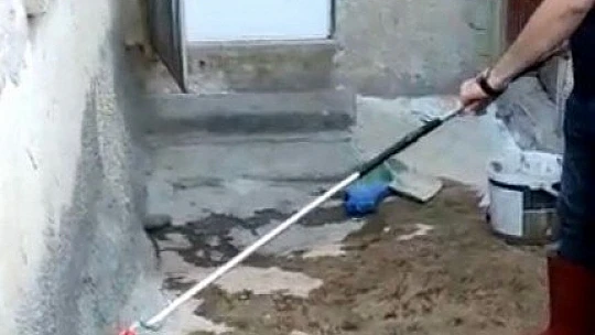 Eve giren yılanı ekipler çıkardı