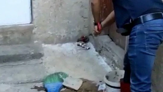 Eve giren yılanı ekipler çıkardı