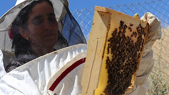 Ürettiği balı hayır olarak dağıtıyor