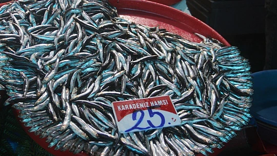 Fiyatlardaki düşüş, balıkçıların yüzünü güldürdü