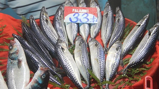 Fiyatlardaki düşüş, balıkçıların yüzünü güldürdü