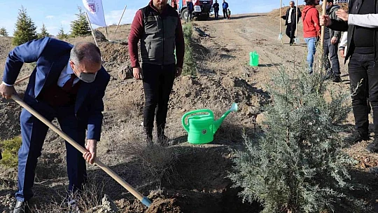 FÜ'de 23 bin fidan toprakla buluşturuldu