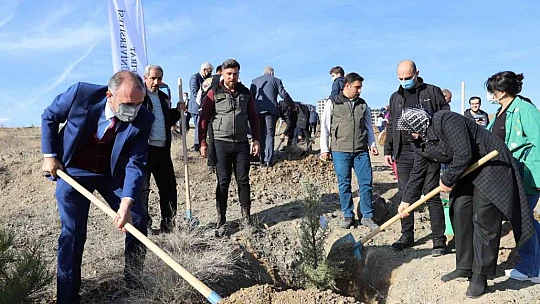 FÜ'de 23 bin fidan toprakla buluşturuldu