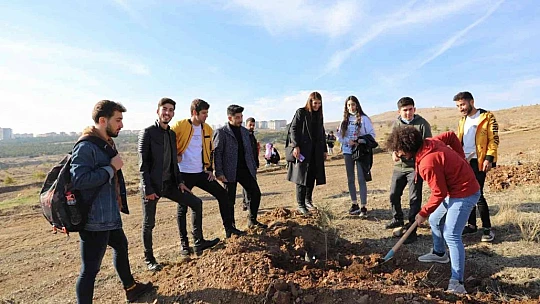 FÜ'de 23 bin fidan toprakla buluşturuldu