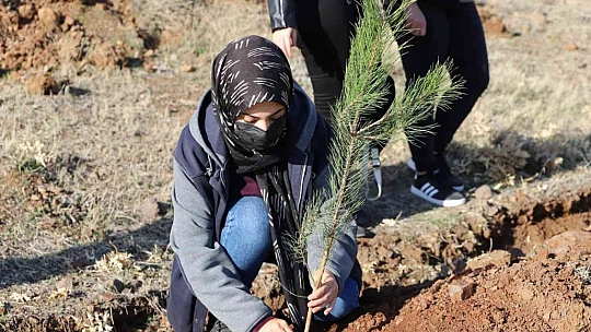 FÜ'de 23 bin fidan toprakla buluşturuldu