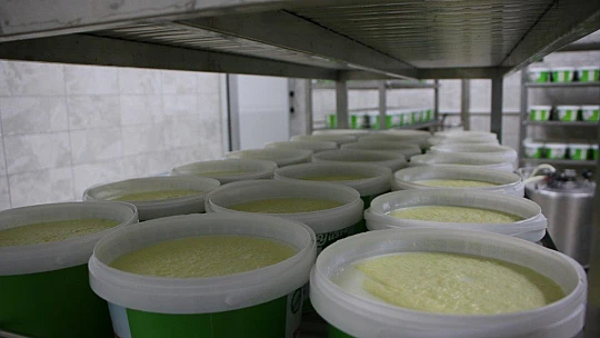 Genç girişimci, devletin desteğiyle 14 milyonluk yatırım yaptı
