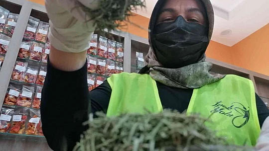 Gençlerin ürettiği bitki çayı ve sebze tohumları, Cumhurbaşkanı Erdoğan'a gönderiliyor