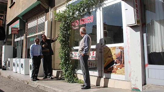Görenler bir daha baktı, betonların arasında nasıl yetiştiğine anlam veremediler