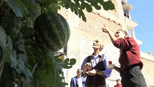 Görenler bir daha baktı, betonların arasında nasıl yetiştiğine anlam veremediler