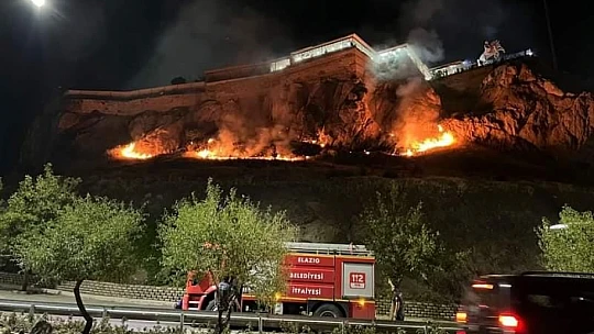 Harput'ta otluk alanda korkutan yangın