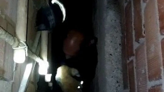 Havalandırma boşluğuna düşen kediyi itfaiye kurtardı