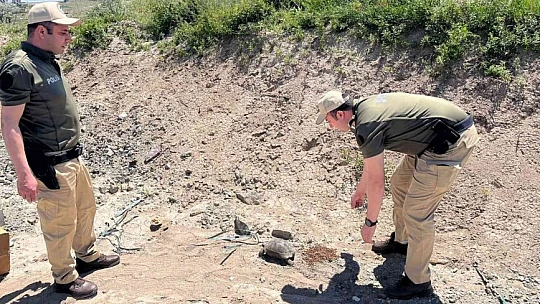 HAYDİ'nin kaplumbağa duyarlılığı