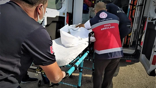 Henüz 13 aylıkken Türkiye'nin 3 bölgesini gezdi, hayata Elazığ'da tutundu