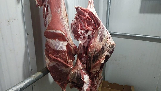 Hırsızlar et ve tulum peyniri çaldı, yakalanmamak için kayıt cihazını da götürdü