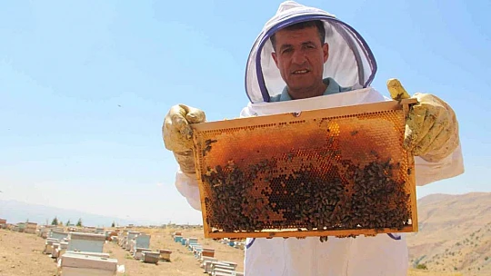 İklim değişikliği florayı etkiledi, arıcılar bu yıl da umduğunu bulamadı