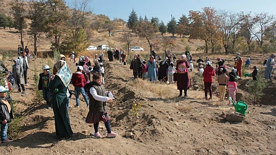 Elazığ'da Milli Ağaçlandırma Günü Coşkusu