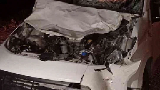 İneğe çarpan hafif ticari araç hurdaya döndü