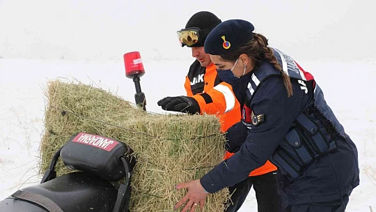 JAK ve HAYDİ ekipleri yaban hayatı için seferber oldu