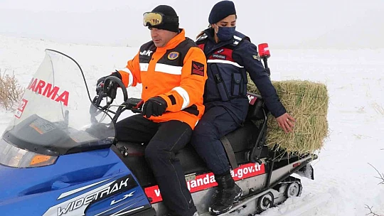 JAK ve HAYDİ ekipleri yaban hayatı için seferber oldu