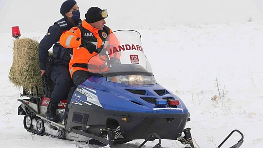 JAK ve HAYDİ ekipleri yaban hayatı için seferber oldu