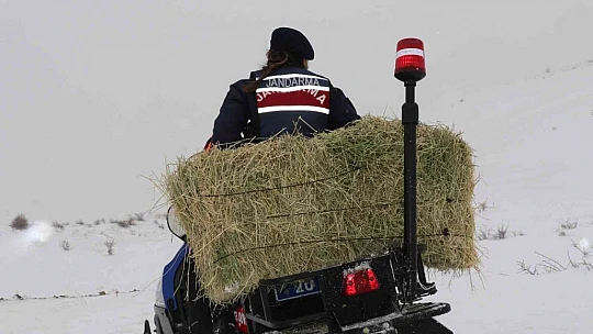 JAK ve HAYDİ ekipleri yaban hayatı için seferber oldu