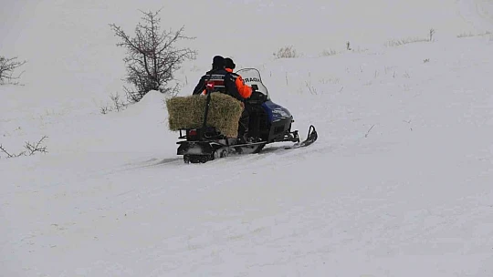 JAK ve HAYDİ ekipleri yaban hayatı için seferber oldu