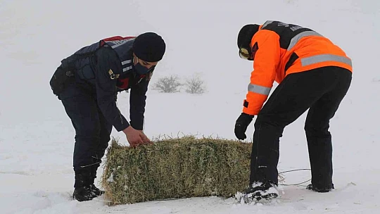 JAK ve HAYDİ ekipleri yaban hayatı için seferber oldu