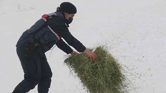 JAK ve HAYDİ ekipleri yaban hayatı için seferber oldu