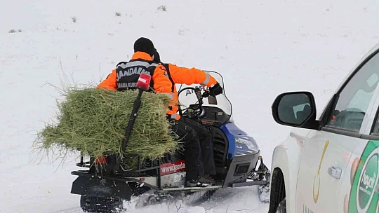 JAK ve HAYDİ ekipleri yaban hayatı için seferber oldu