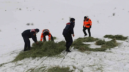 JAK ve HAYDİ ekipleri yaban hayatı için seferber oldu